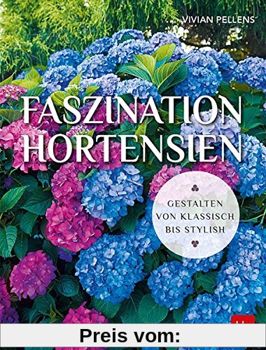 Faszination Hortensien